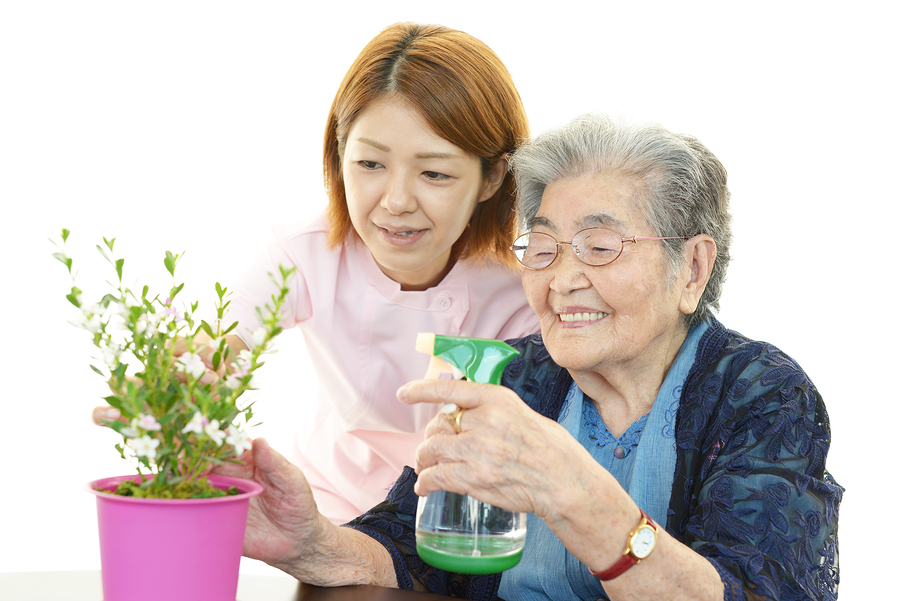Senior Home Care Services